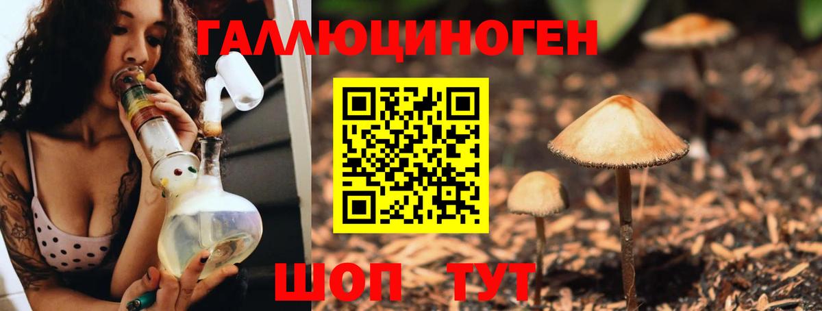купить наркотик  Вход с VPN  Псилоцибиновые грибы Cubensis  Богородицк  Псилоцибиновые грибы Psilocybe 